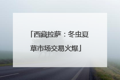 西藏拉萨：冬虫夏草市场交易火爆