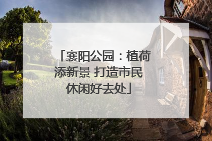 襄阳公园：植荷添新景 打造市民休闲好去处