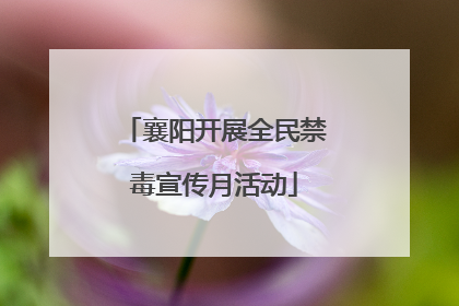 襄阳开展全民禁毒宣传月活动
