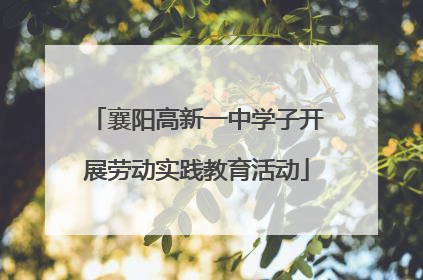 襄阳高新一中学子开展劳动实践教育活动