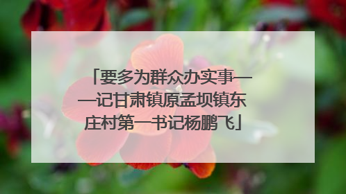 要多为群众办实事——记甘肃镇原孟坝镇东庄村第一书记杨鹏飞