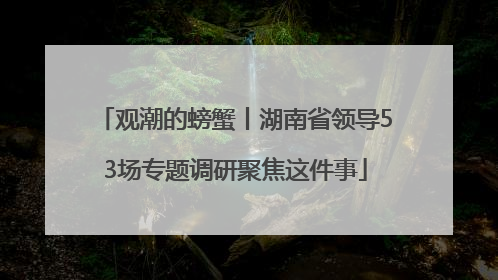 观潮的螃蟹丨湖南省领导53场专题调研聚焦这件事