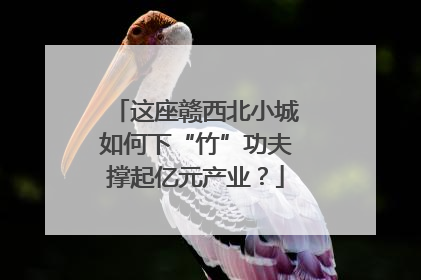 这座赣西北小城如何下“竹”功夫撑起亿元产业？
