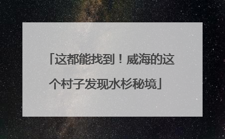 这都能找到！威海的这个村子发现水杉秘境