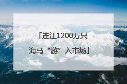 连江1200万只海马“游”入市场