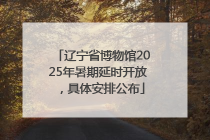 辽宁省博物馆2025年暑期延时开放，具体安排公布