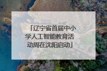 辽宁省首届中小学人工智能教育活动周在沈阳启动
