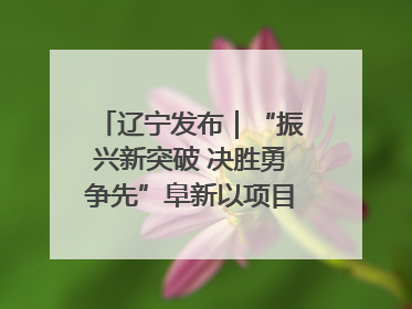 辽宁发布｜“振兴新突破 决胜勇争先”阜新以项目攻坚破解发展瓶颈 经济发展实现良好开局