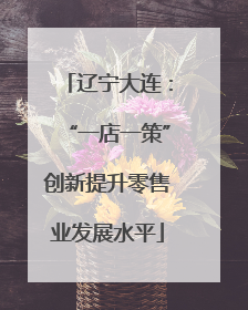 辽宁大连：“一店一策”创新提升零售业发展水平