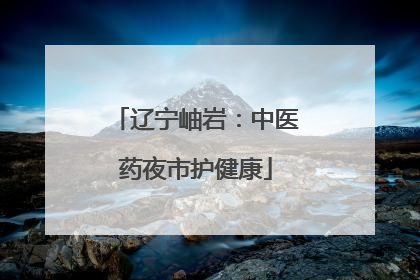 辽宁岫岩：中医药夜市护健康