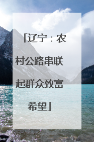 辽宁：农村公路串联起群众致富希望