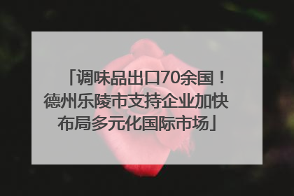 调味品出口70余国！德州乐陵市支持企业加快布局多元化国际市场