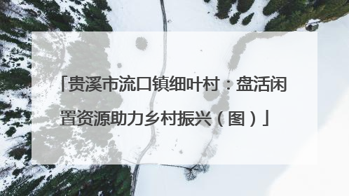 贵溪市流口镇细叶村：盘活闲置资源助力乡村振兴（图）