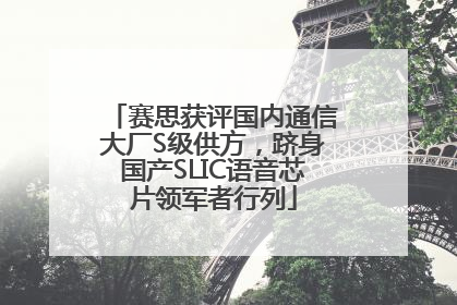 赛思获评国内通信大厂S级供方，跻身国产SLIC语音芯片领军者行列