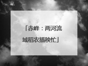 赤峰：两河流域稻农插秧忙