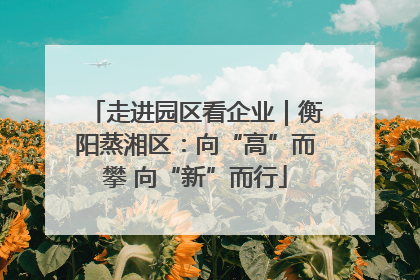 走进园区看企业｜衡阳蒸湘区：向“高”而攀 向“新”而行