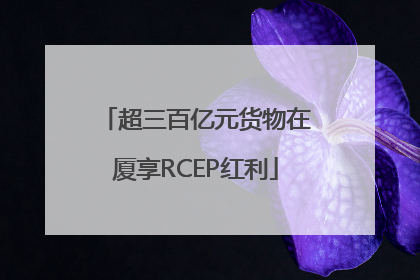 超三百亿元货物在厦享RCEP红利
