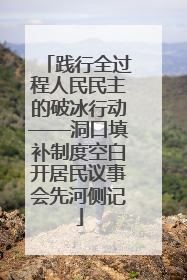 践行全过程人民民主的破冰行动——洞口填补制度空白开居民议事会先河侧记
