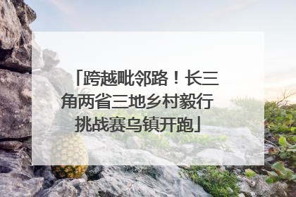 跨越毗邻路！长三角两省三地乡村毅行挑战赛乌镇开跑