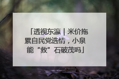 透视东瀛｜米价拖累自民党选情，小泉能“救”石破茂吗