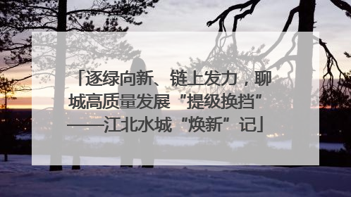 逐绿向新、链上发力，聊城高质量发展“提级换挡”——江北水城“焕新”记