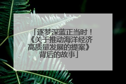 逐梦深蓝正当时！《关于推动海洋经济高质量发展的提案》背后的故事