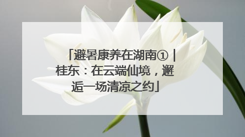 避暑康养在湖南①｜桂东：在云端仙境，邂逅一场清凉之约