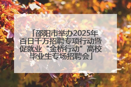 邵阳市举办2025年百日千万招聘专项行动暨促就业“金桥行动”高校毕业生专场招聘会