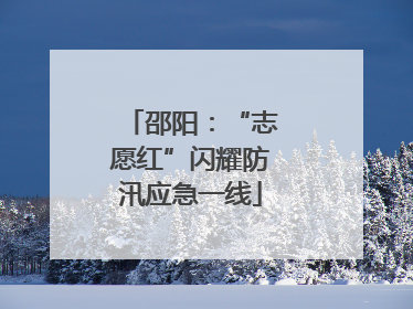 邵阳：“志愿红”闪耀防汛应急一线