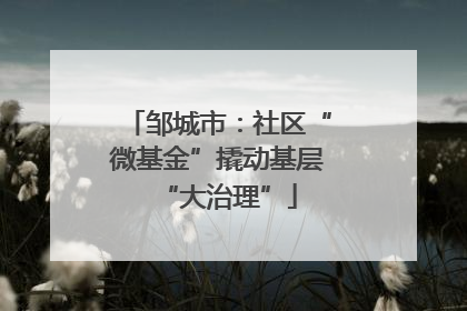 邹城市：社区“微基金”撬动基层“大治理”