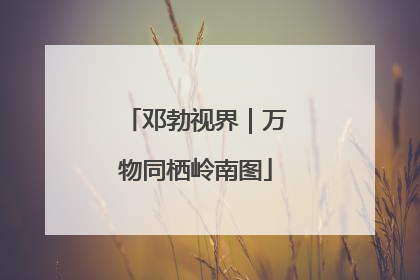 邓勃视界｜万物同栖岭南图