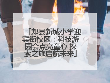 郏县新城小学迎宾街校区：科技游园会点亮童心 探索之旅启航未来