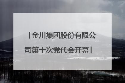 金川集团股份有限公司第十次党代会开幕