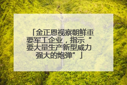 金正恩视察朝鲜重要军工企业，指示“要大量生产新型威力强大的炮弹”