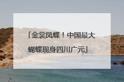 金裳凤蝶！中国最大蝴蝶现身四川广元