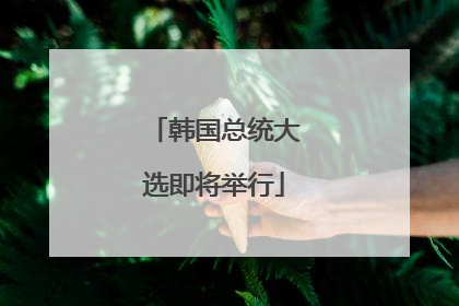 韩国总统大选即将举行