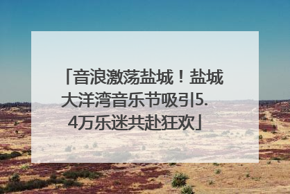 音浪激荡盐城！盐城大洋湾音乐节吸引5.4万乐迷共赴狂欢