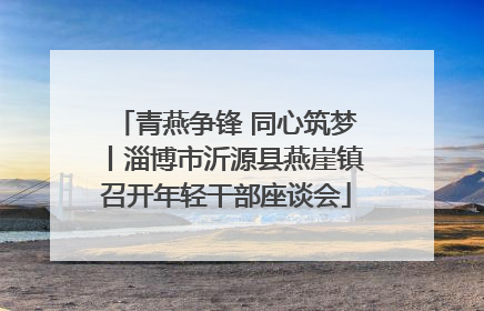 青燕争锋 同心筑梦丨淄博市沂源县燕崖镇召开年轻干部座谈会