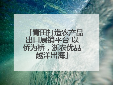 青田打造农产品出口展销平台 以侨为桥，浙农优品越洋出海