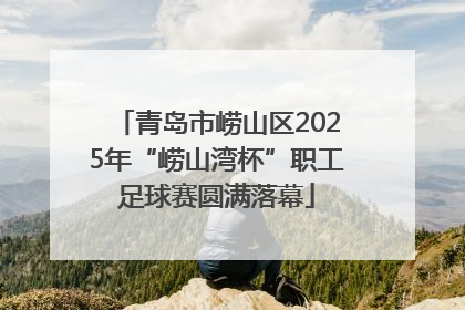 青岛市崂山区2025年“崂山湾杯”职工足球赛圆满落幕
