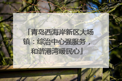 青岛西海岸新区大场镇：综治中心强服务，和谐港湾暖民心