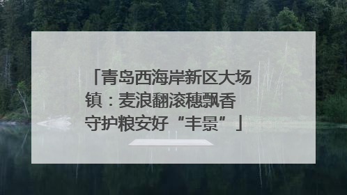 青岛西海岸新区大场镇：麦浪翻滚穗飘香 守护粮安好“丰景”