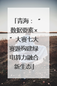 青海：“数据要素×”大赛七大赛题构建绿电算力融合新生态