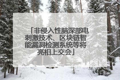 非侵入性脑深部电刺激技术、区块链智能漏洞检测系统等将亮相上交会
