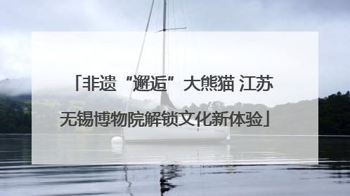 非遗“邂逅”大熊猫 江苏无锡博物院解锁文化新体验