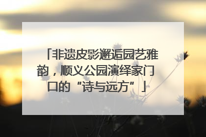 非遗皮影邂逅园艺雅韵，顺义公园演绎家门口的“诗与远方”