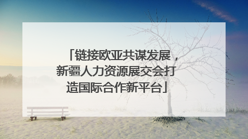 链接欧亚共谋发展，新疆人力资源展交会打造国际合作新平台