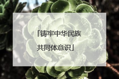 铸牢中华民族共同体意识
