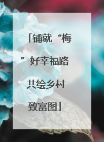 铺就“梅”好幸福路 共绘乡村致富图