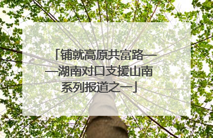 铺就高原共富路——湖南对口支援山南系列报道之一